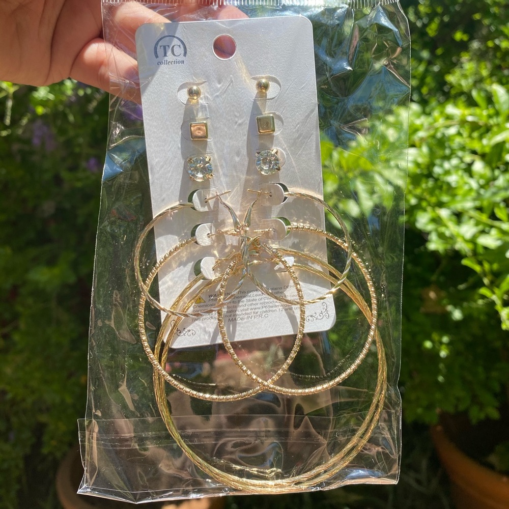 Earrings